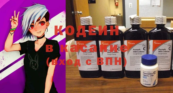молекула духа Ростов