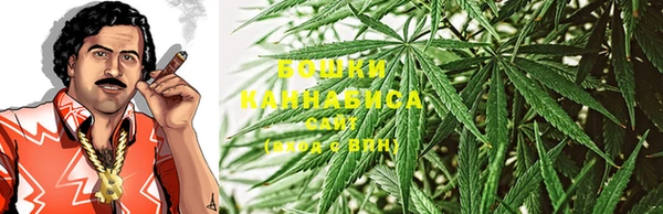 молекула духа Ростов